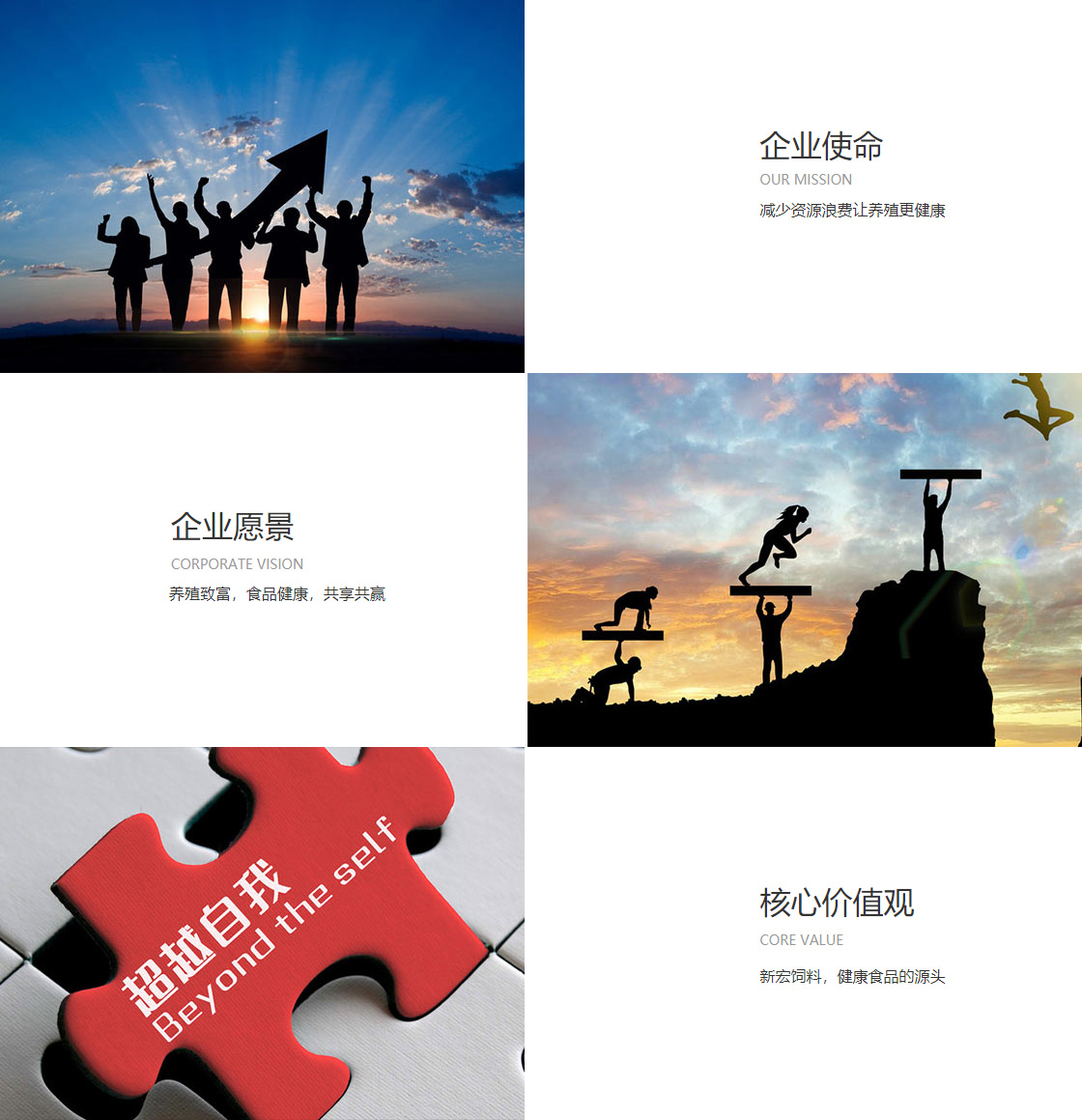 bob真人app(官方)(图1)